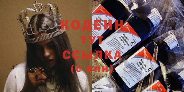 дживик Белокуриха