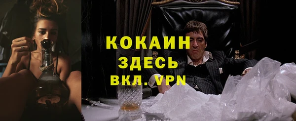 дживик Белокуриха