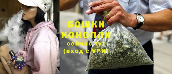 дживик Белокуриха