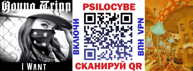 Псилоцибиновые грибы Cubensis  Кузнецк 